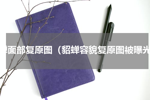 貂蝉面部复原图（貂蝉容貌复原图被曝光）