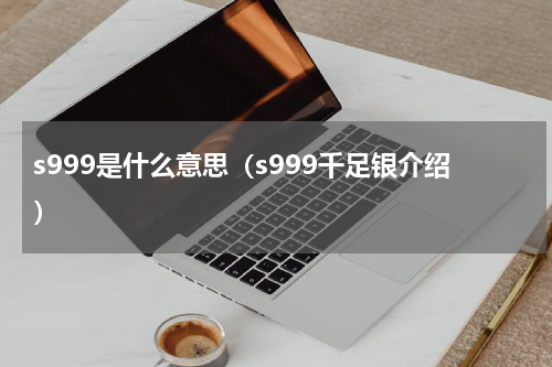 s999是什么意思（s999千足银介绍）