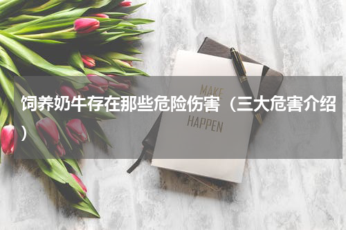 饲养奶牛存在那些危险伤害（三大危害介绍）