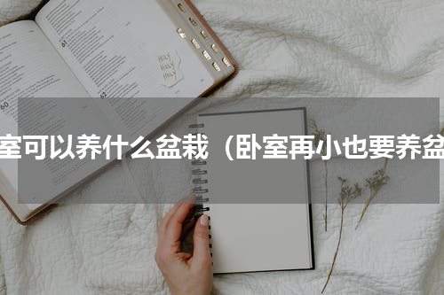 卧室可以养什么盆栽（卧室再小也要养盆）