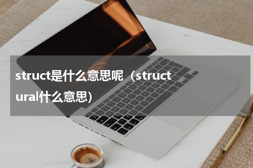 struct是什么意思呢（structural什么意思）