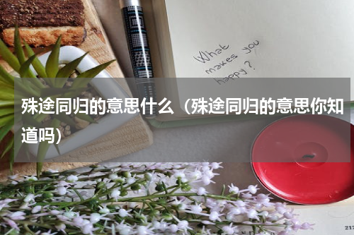 殊途同归的意思什么（殊途同归的意思你知道吗）