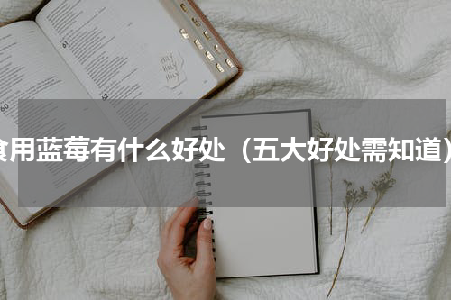 食用蓝莓有什么好处（五大好处需知道）