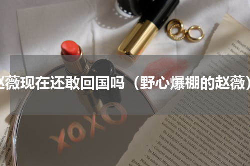 赵薇现在还敢回国吗（野心爆棚的赵薇）