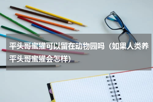 平头哥蜜獾可以留在动物园吗（如果人类养平头哥蜜獾会怎样）