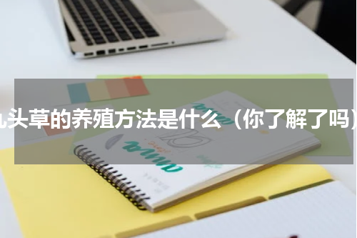 九头草的养殖方法是什么（你了解了吗）