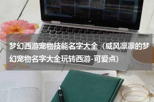 梦幻西游宠物技能名字大全（威风凛凛的梦幻宠物名字大全玩转西游-可爱点）