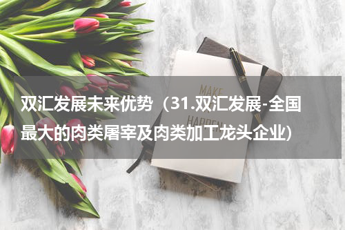 双汇发展未来优势（31.双汇发展-全国最大的肉类屠宰及肉类加工龙头企业）