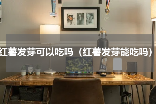 红薯发芽可以吃吗（红薯发芽能吃吗）