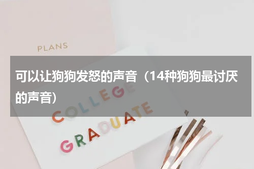 可以让狗狗发怒的声音（14种狗狗最讨厌的声音）