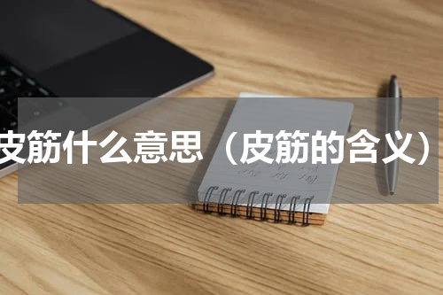 皮筋什么意思（皮筋的含义）