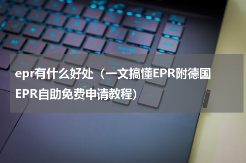epr有什么好处（一文搞懂EPR附德国EPR自助免费申请教程）