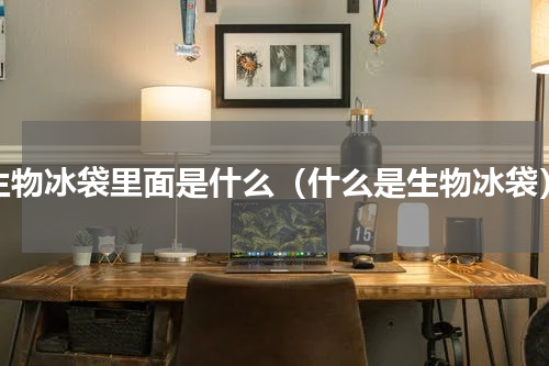 生物冰袋里面是什么（什么是生物冰袋）