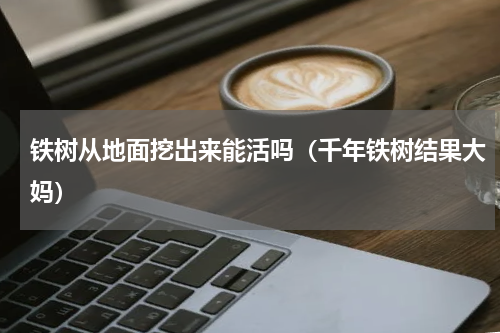 铁树从地面挖出来能活吗（千年铁树结果大妈）