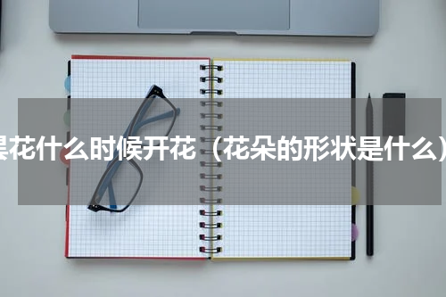 昙花什么时候开花（花朵的形状是什么）