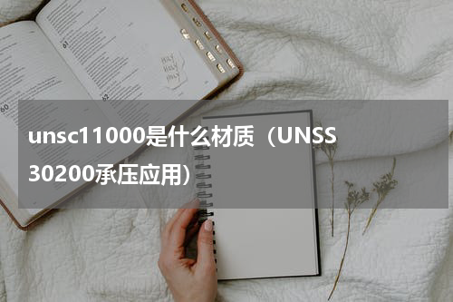 unsc11000是什么材质（UNSS30200承压应用）
