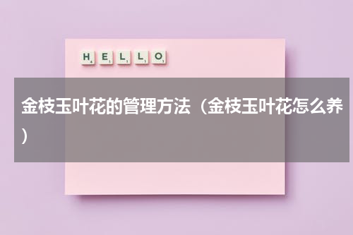 金枝玉叶花的管理方法（金枝玉叶花怎么养）