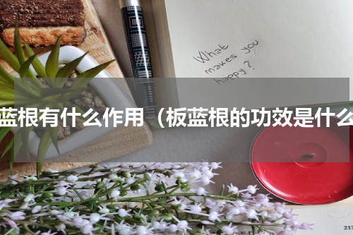 板蓝根有什么作用（板蓝根的功效是什么）