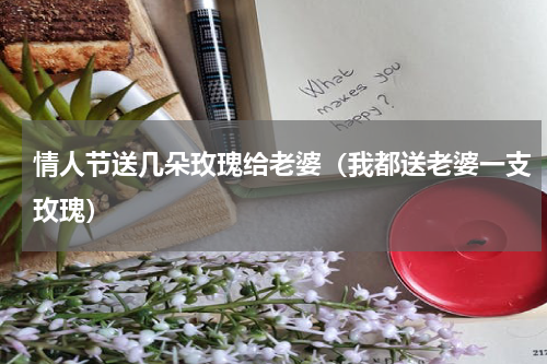 情人节送几朵玫瑰给老婆（我都送老婆一支玫瑰）