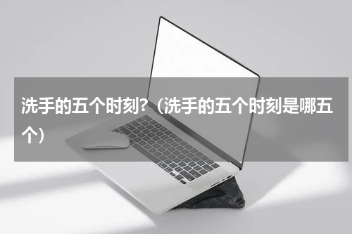 洗手的五个时刻?（洗手的五个时刻是哪五个）