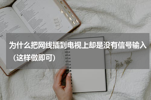 为什么把网线插到电视上却是没有信号输入（这样做即可）