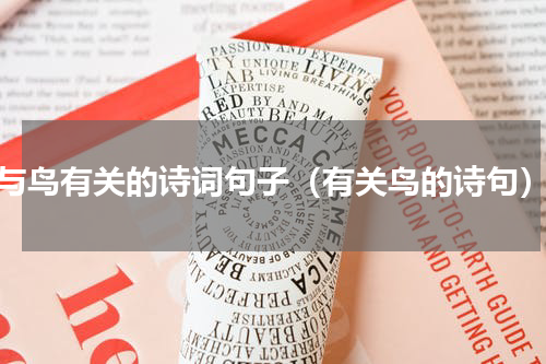 与鸟有关的诗词句子（有关鸟的诗句）