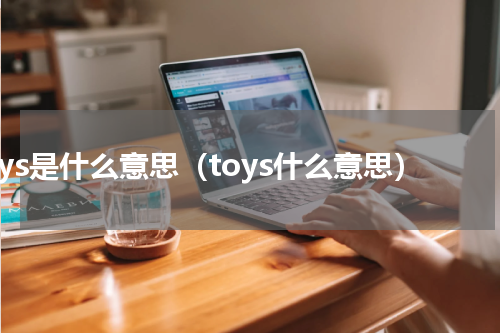 toys是什么意思（toys什么意思）