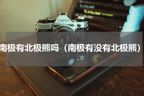 南极有北极熊吗（南极有没有北极熊）