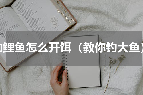 钓鲤鱼怎么开饵（教你钓大鱼）