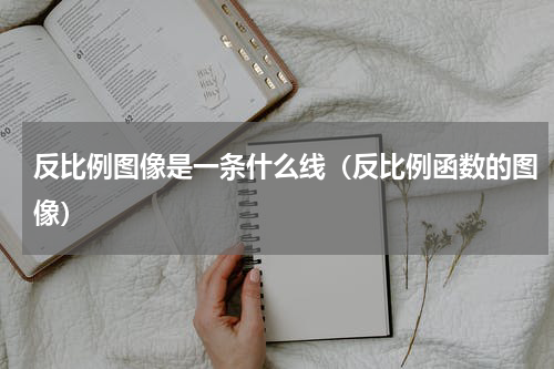 反比例图像是一条什么线（反比例函数的图像）