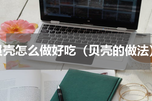 贝壳怎么做好吃（贝壳的做法）