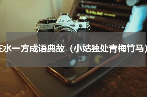 在水一方成语典故（小姑独处青梅竹马）