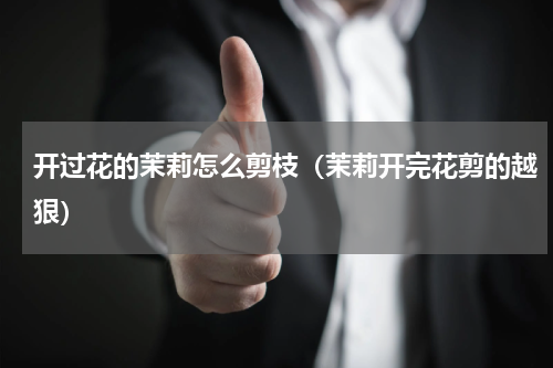 开过花的茉莉怎么剪枝（茉莉开完花剪的越狠）