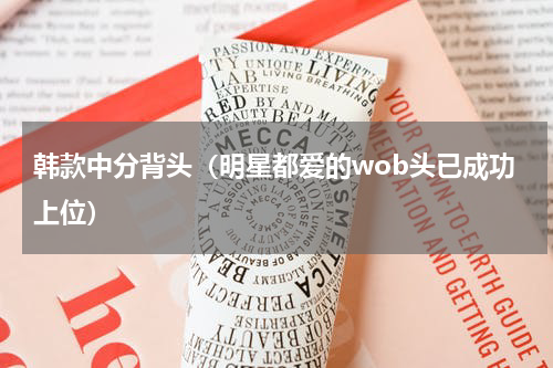 韩款中分背头（明星都爱的wob头已成功上位）