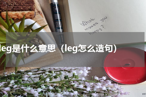 leg是什么意思（leg怎么造句）