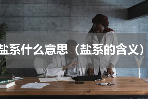 盐系什么意思（盐系的含义）