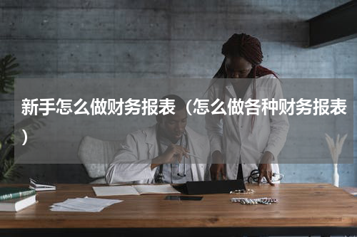 新手怎么做财务报表（怎么做各种财务报表）