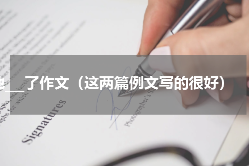 他___了作文（这两篇例文写的很好）