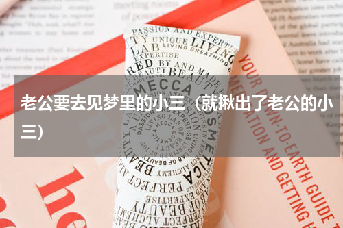 老公要去见梦里的小三（就揪出了老公的小三）