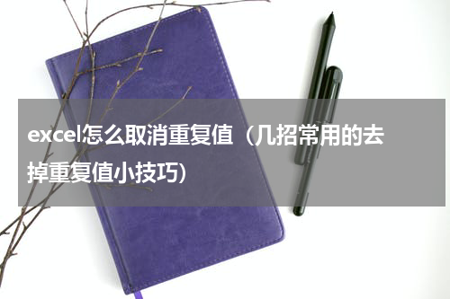 excel怎么取消重复值（几招常用的去掉重复值小技巧）