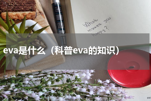 eva是什么（科普eva的知识）