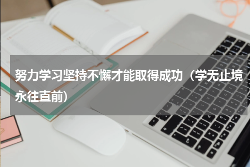努力学习坚持不懈才能取得成功（学无止境永往直前）