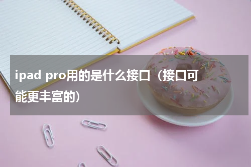 ipad pro用的是什么接口（接口可能更丰富的）