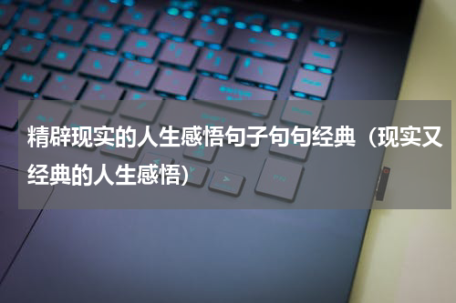 精辟现实的人生感悟句子句句经典（现实又经典的人生感悟）