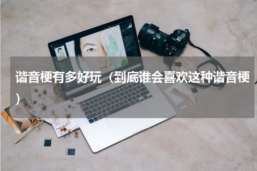 谐音梗有多好玩（到底谁会喜欢这种谐音梗）