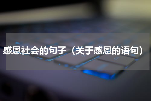 感恩社会的句子（关于感恩的语句）