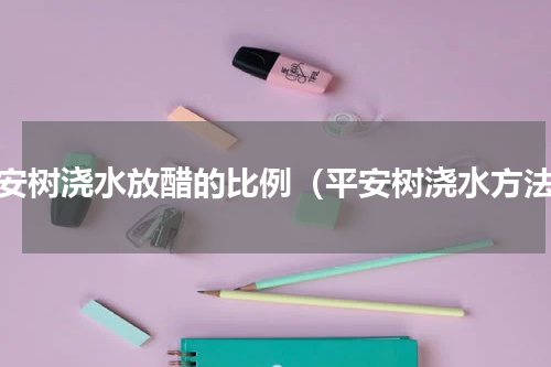 平安树浇水放醋的比例（平安树浇水方法）
