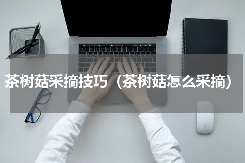 茶树菇采摘技巧（茶树菇怎么采摘）