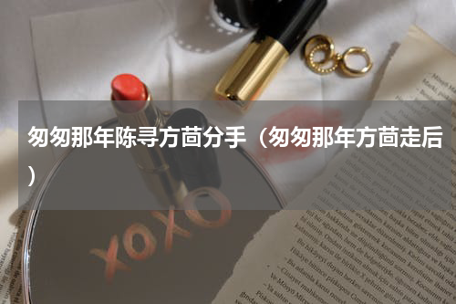 匆匆那年陈寻方茴分手（匆匆那年方茴走后）