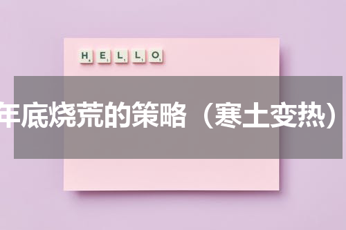 年底烧荒的策略（寒土变热）